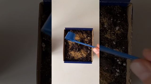 Органические удобрения Greenhouse Feeding BioGrow Unboxing смотреть онлайн