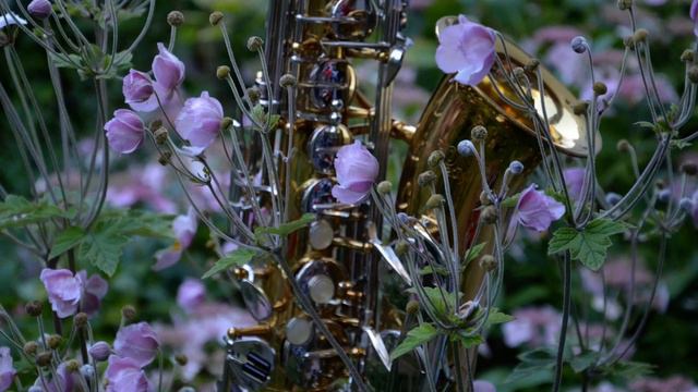 Romantic saxophone Golden saxophone Fausto Papetti Amado Mio (84) АК SAX MUSIC смотреть онлайн