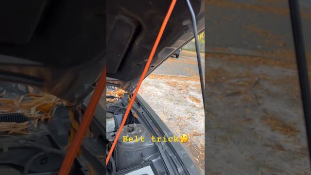 Belt hack? смотреть онлайн