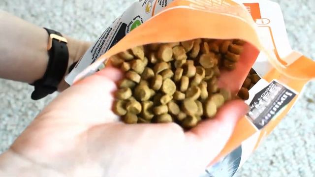 Only Natural Pet Poultry Dinner Review (We Tried It) смотреть онлайн