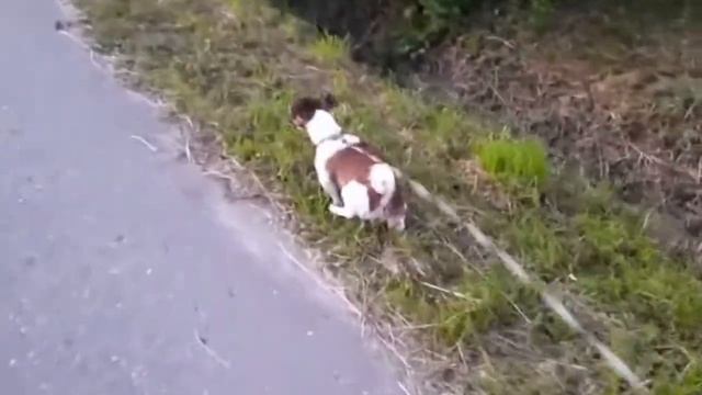 ПРИЕХАЛИ НА ДАЧУ | неделя чтения | 4 день смотреть онлайн
