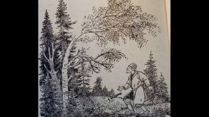 33  Красавица берёза  Гора самоцветов