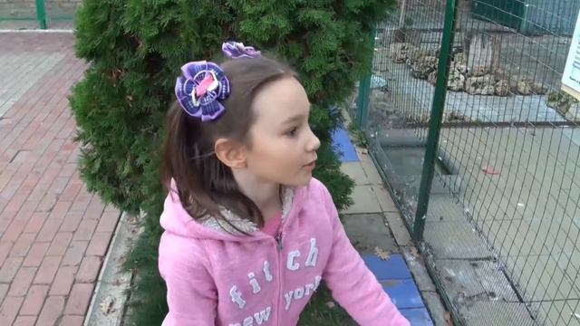 Зоопарк - это круто! Мне понравилось! смотреть онлайн