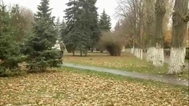 Социальный ролик "Безопасность на дороге" смотреть онлайн