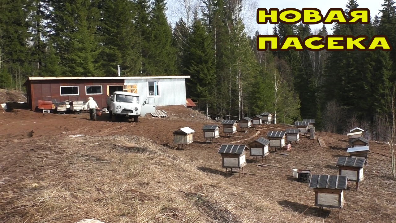 Новая пасека готова! Задумка отца сбылась! смотреть онлайн