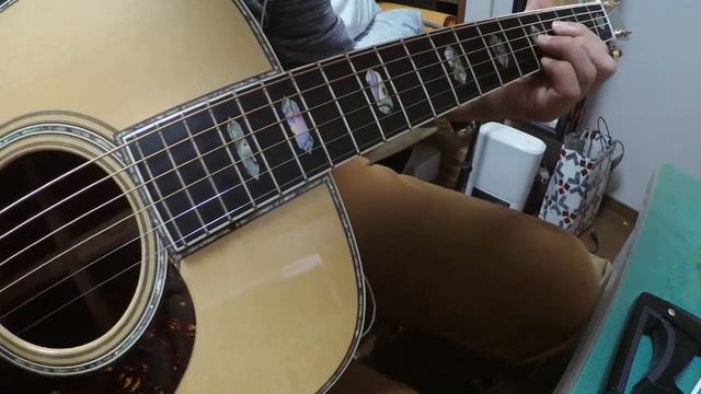 Martin D45　七つの子　cocoboro смотреть онлайн