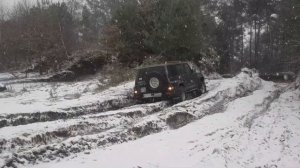 Nissan Patrol Y61 vs Nissan Patrol Y60 Offroad Fursten Forest