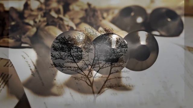 Weeping Eyes / Sen Yoktun - Vassilis Saleas (Ney) + Nota смотреть онлайн
