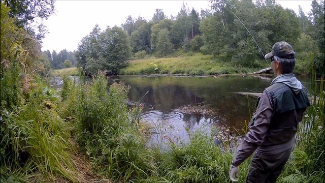 Голавль и Carbon смотреть онлайн