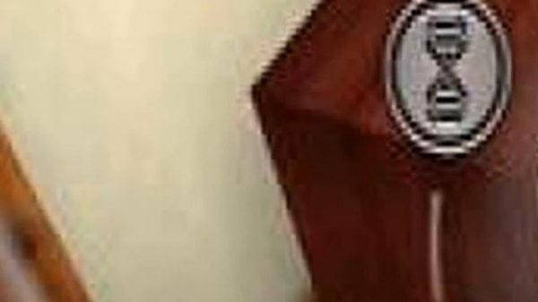 Dexter The Game 2  Android Game - playslack.com