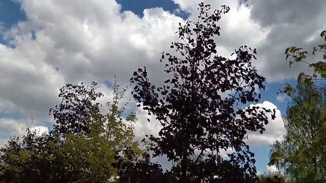 8 причин одиночества. смотреть онлайн