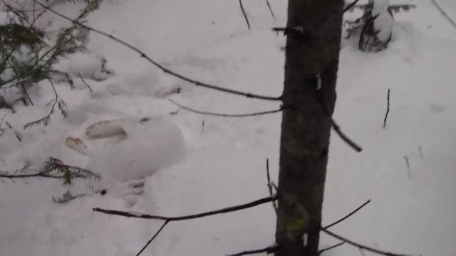 Два дня в поле - Красавка, Раскат. смотреть онлайн