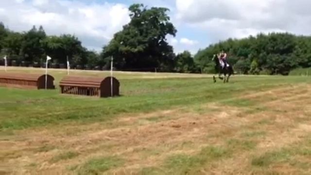 Hogans Banshee Xc schooling смотреть онлайн