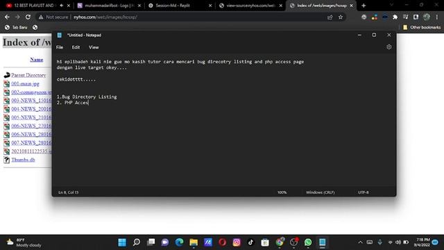 Directory Traversal and PHP Page Access Vulnerability смотреть онлайн