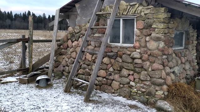 САМА СТРОЮ САРАЙ ДЛЯ КОЗЫ!! смотреть онлайн