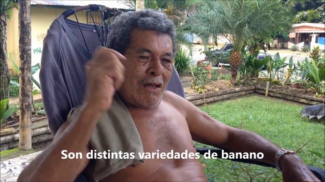 Palma Africana ¿Grano de Oro de la Zona Sur? смотреть онлайн