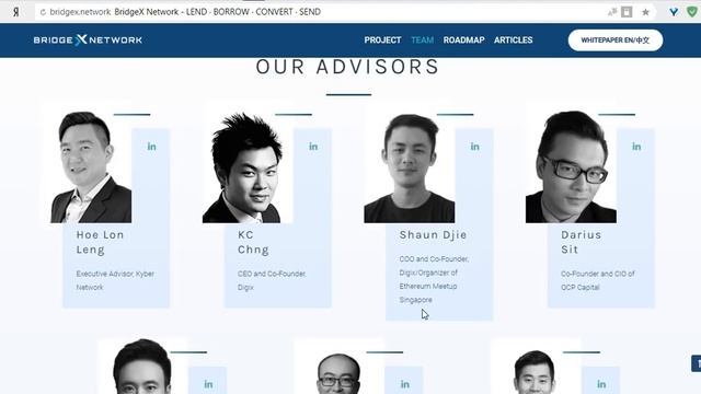 BridgeX Network - сильные Advisors проекта! смотреть онлайн
