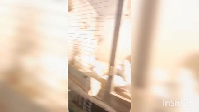 Новые породы на ферме: фавероль и пушкинская смотреть онлайн