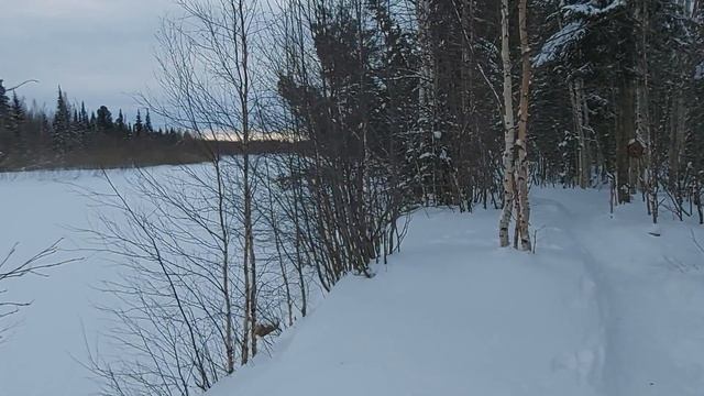 Мороз-воевода смотреть онлайн