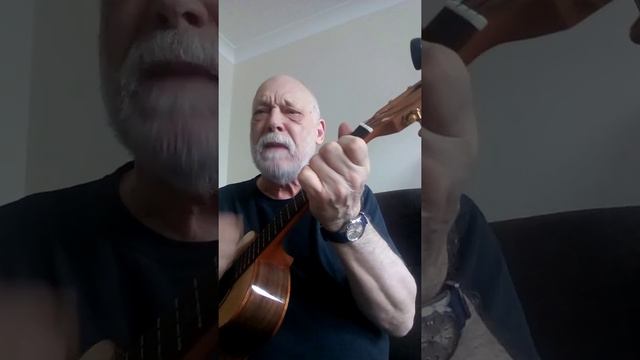 "Hazy Old Moon" 2021 Flight Sophia Soundwave Ukulele смотреть онлайн