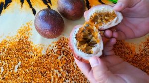 Фрукты Таиланда Маракуйя Как правильно открывать маракуйю