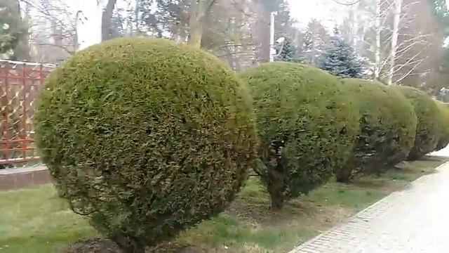Прогулка по Джемете. Пионерский проспект. 19.02.2018г. смотреть онлайн