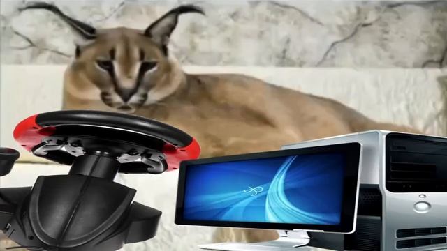 Шлепа рекламирует Эльдорадо.(Официальный перезалив) смотреть онлайн