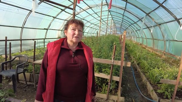 Генпрокуратура! Накормим страну исками? смотреть онлайн