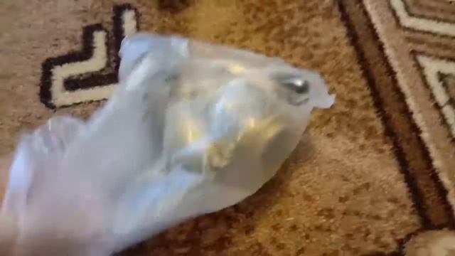 Закупился в рыболовном магазине смотреть онлайн