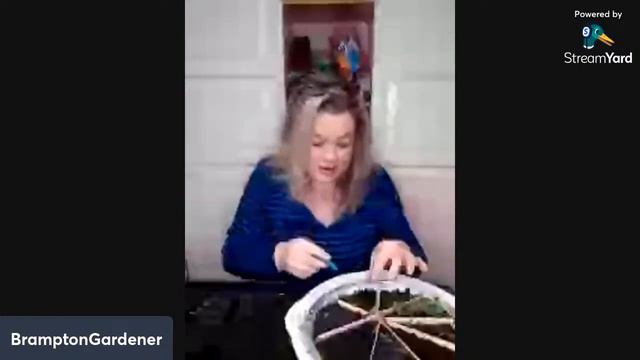 Pop up live- potting up petunia seedlings смотреть онлайн