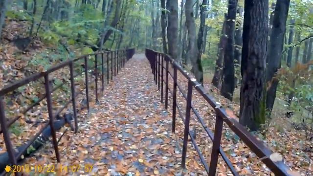 Михайло-Афонская Пустынь, п. Победа. 22.10.2018г.