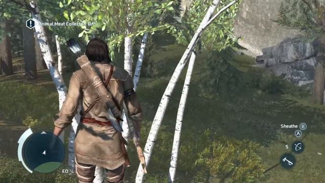 Assassins Creed 3 Hunting Lessons Chapter 9