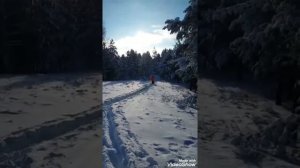 мне хочется белого снега, морозного синего дня ❄☀️#2