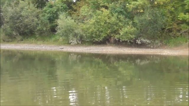 Щука реки Уссури.