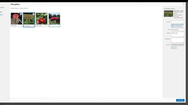How to Create an Image Gallery in the WordPress Gutenberg Editor смотреть онлайн