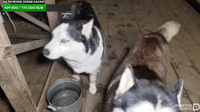 сегодня точно споем смотреть онлайн