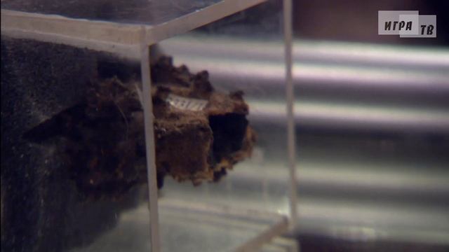 Что? Где? Когда? Первая игра Летней серии. Выпуск от 17.05.2014 смотреть онлайн