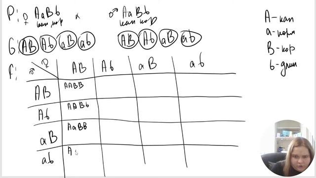 ГЕНЕТИЧЕСКИЕ ЗАДАЧИ НА ЛЕТАЛЬНОСТЬ (6:3:2:1) В ЕГЭ ПО БИОЛОГИИ смотреть онлайн