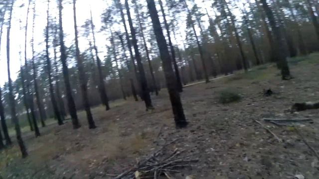 ВЫЖИВАНИЕ В ЛЕСУ ОПЫТНОГО И НОВИЧКА / МЫ ОКАЗАЛИСЬ НЕ ОДНИ В ЛЕСУ!!! смотреть онлайн
