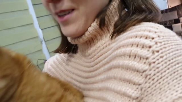 Огромный Осьминог Готовим вместе смотреть онлайн