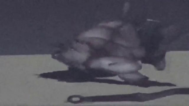 Пудж из Доты Танцует под Славянский Зажим Яйцами в Хорошем Качестве (4К 144fps) смотреть онлайн