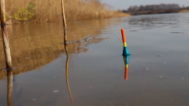 Когда начинается весенний жор карася? Как ловить карася в марте апреле и мае!? Секреты ловли карася смотреть онлайн