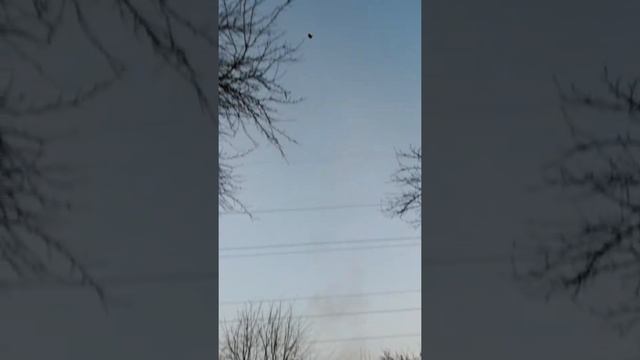 Romanian space program смотреть онлайн