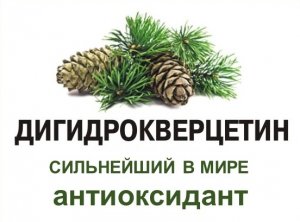 Дигидрокверцетин - сильнейший антиоксидант.