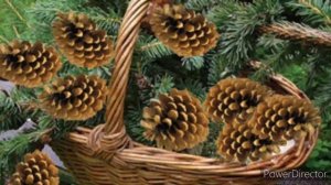 Литературное чтение, 4 класс. К.Паустовский "Корзина с еловыми шишками"(в сокращении).