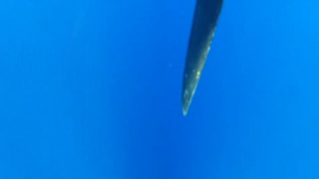 vídeo A TOMAR VIENTO 5 смотреть онлайн