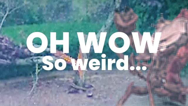 POOR Shark & the CRAB Invasion! (FV Family gets Green Goblin @ the Beach) смотреть онлайн