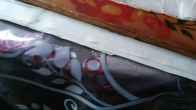 Посадка пророщенных семян арбузов и дынь в землю. Урал. смотреть онлайн