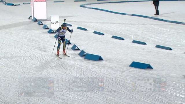 Биатлон кубок Мира 2014-2015 1-й этап. Эстерсунд (Швеция). Смешанная эстафета 2x6 + 2x7,5 км смотреть онлайн