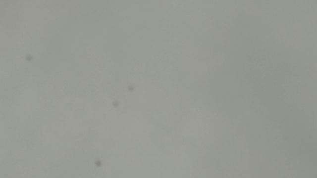 Ветер северо восточный,мой вете смотреть онлайн